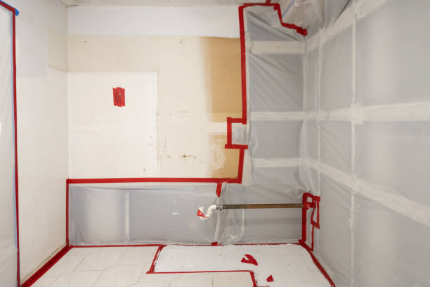 Best Residential Mold Inspection & Testing  in Homer, GA