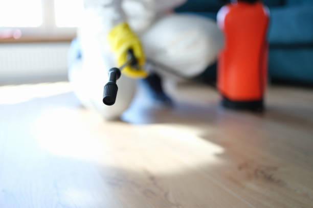 Mold Documentation for Insurance Claims in Homer, GA