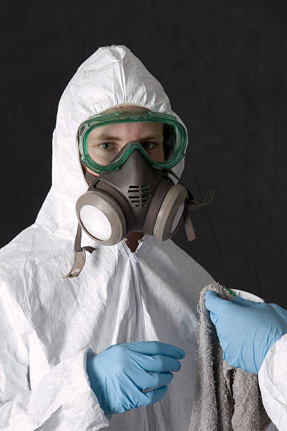 Mold Remediation for Rental Properties in Homer, GA